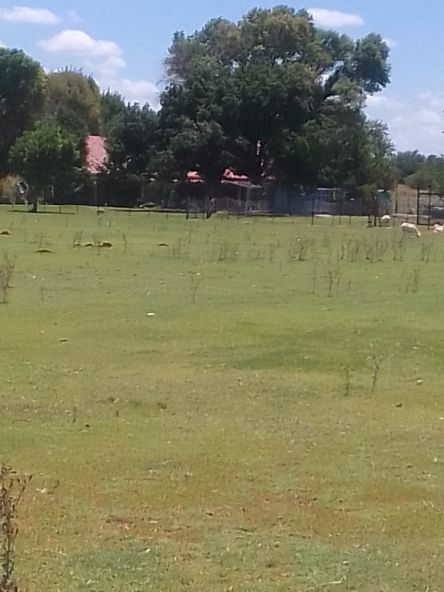 Commercial Property for Sale in Schweizer Reneke North West